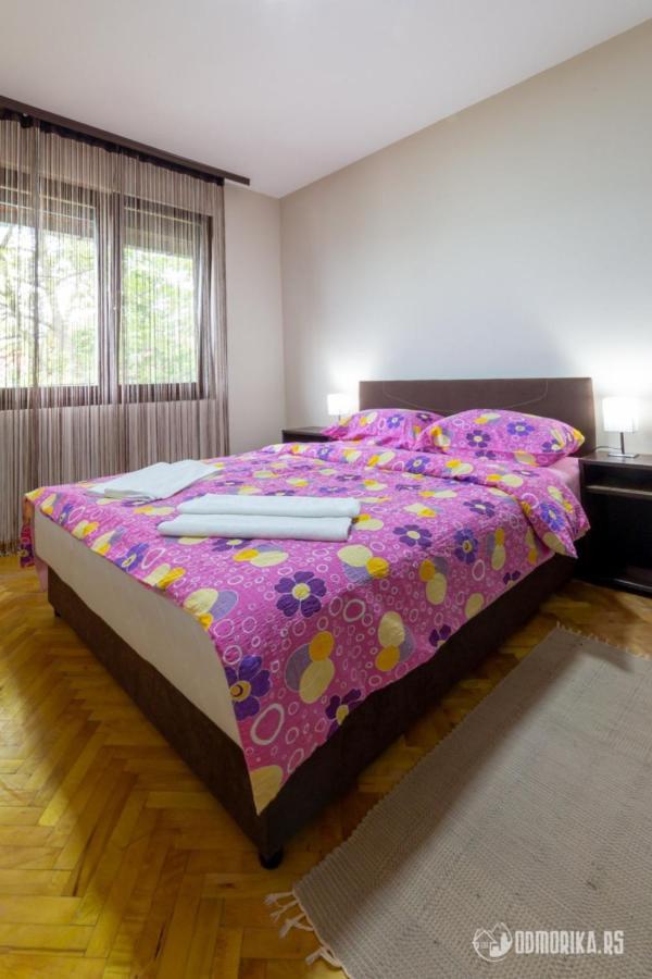Apartmani Nina S Bajina Basta Zewnętrze zdjęcie